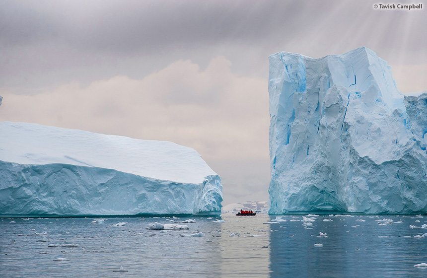 Antarctic_2020_11_Abenteuer und Wildtiere